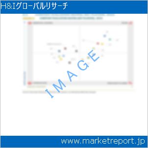 市場と産業調査レポートのイメージ